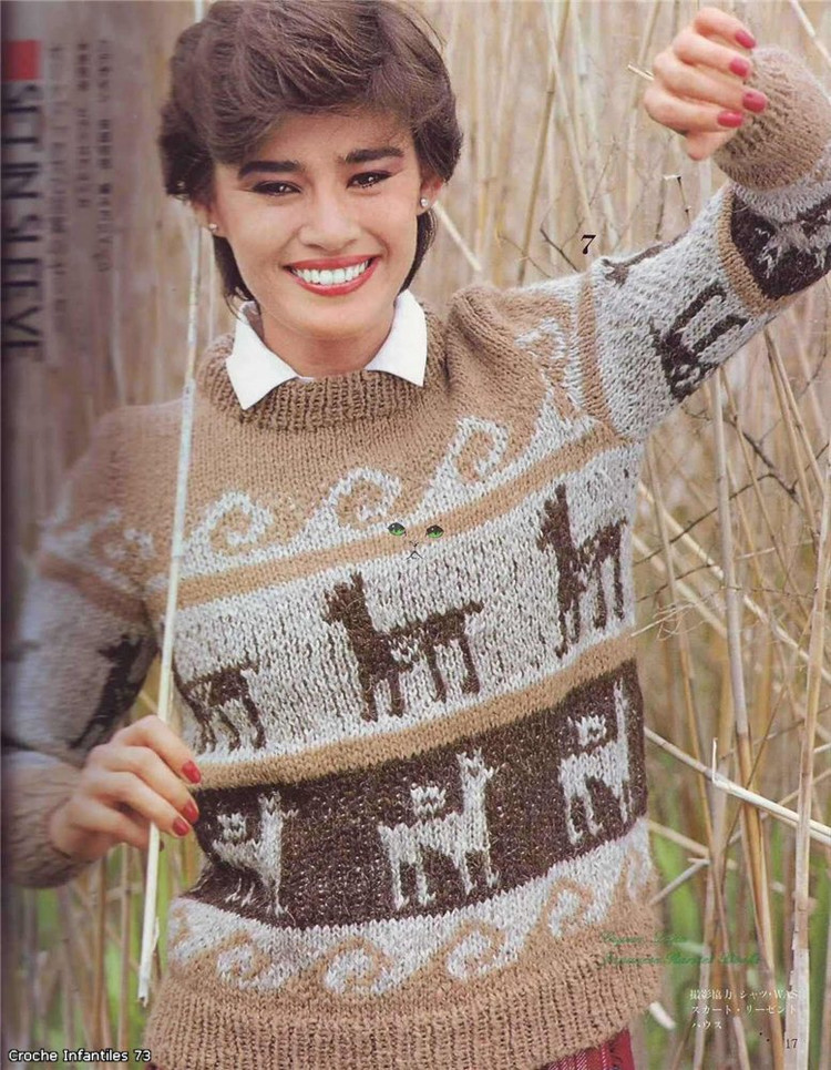 Alpaca Sweater冬季的提花毛衣 - 非編魚 - 非編魚的博客