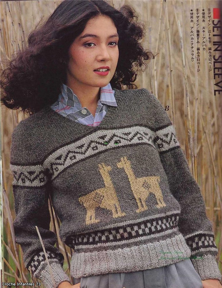 Alpaca Sweater冬季的提花毛衣 - 非編魚 - 非編魚的博客