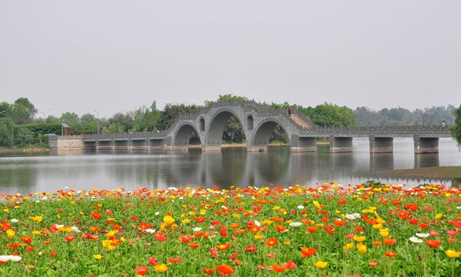 2014年05月26日 - 81226646 - 榴蓮