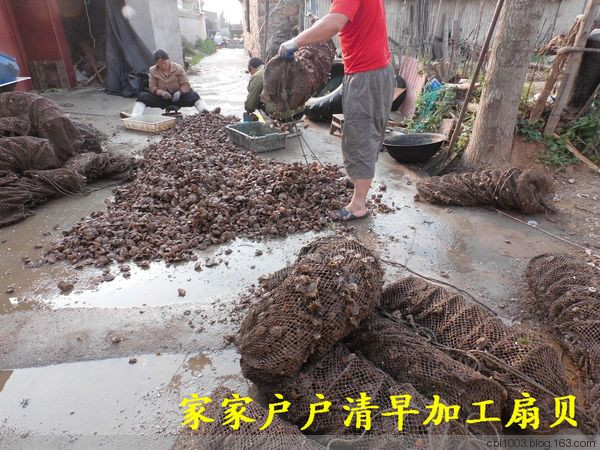 原生態(tài)的黑山島 - 明琳 - 明琳的博客