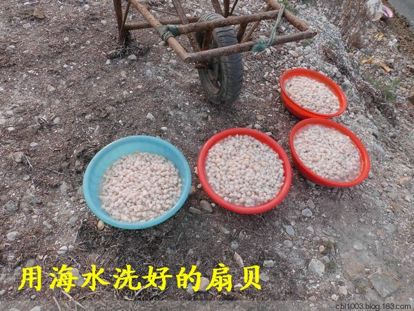 原生態(tài)的黑山島 - 明琳 - 明琳的博客