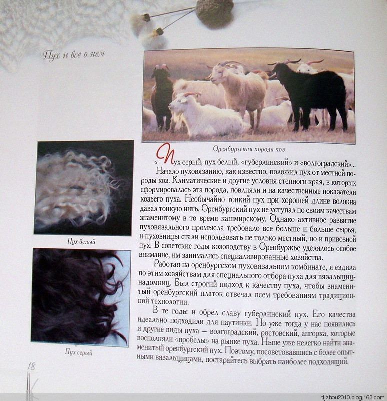 Так вяжут платки в Оренбурге -2010 - 紫蘇 - 紫蘇的博客