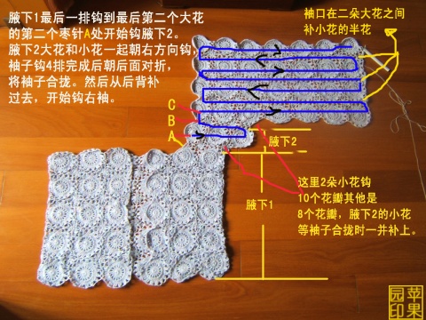 玫瑰人生（有圖解） - 蘋果園 - 蘋果園的博客