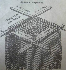 戴帽手套 - gwyang1953 - gwyang1953的博客