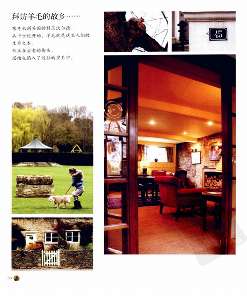 玩美鉤針（整書圖解） - 蘋果園 - 蘋果園