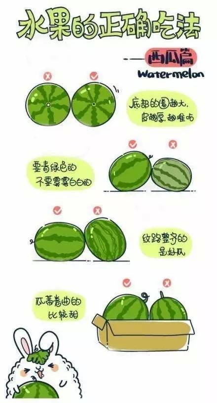 最全的水果剝皮新技能，看完你一定是剝皮高手！ - 海闊天空 - 海闊天空
