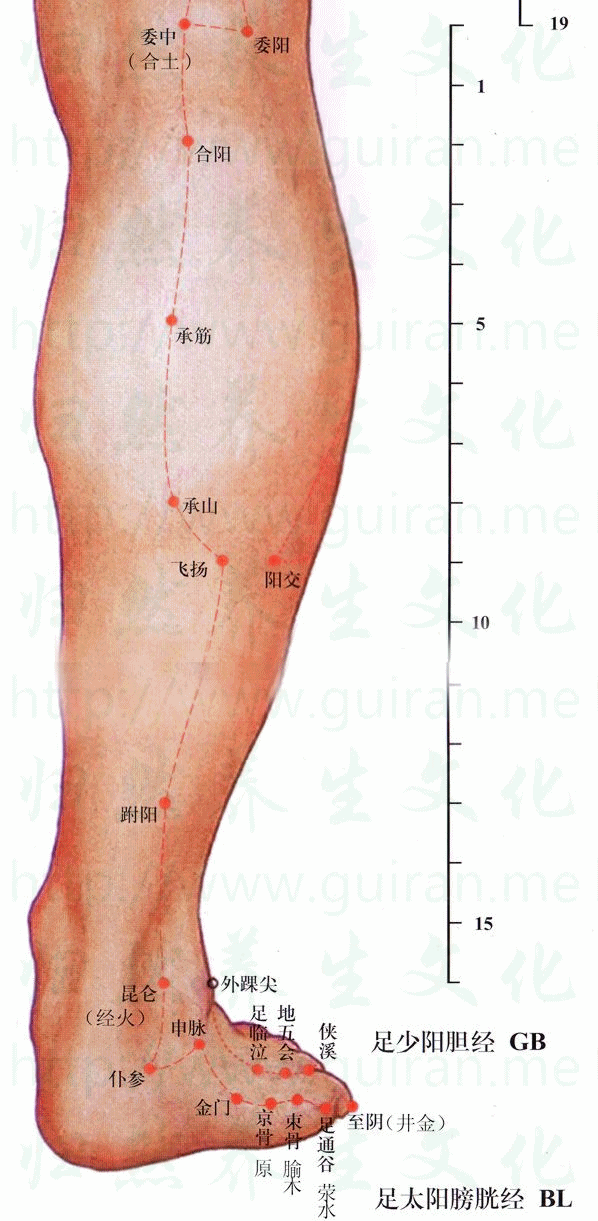 人體經(jīng)絡(luò)是個(gè)大藥庫(kù)，請(qǐng)經(jīng)常按摩一下這些穴位！ - 緣來(lái)是你 - 網(wǎng)絡(luò)雜談之百科全書(shū)大全