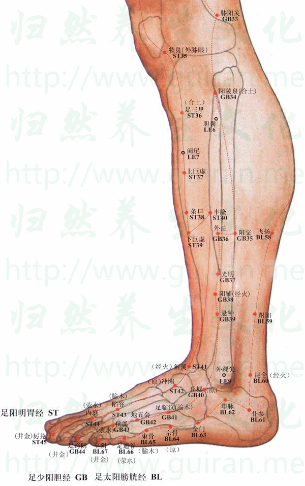 人體經(jīng)絡(luò)是個(gè)大藥庫(kù)，請(qǐng)經(jīng)常按摩一下這些穴位！ - 緣來(lái)是你 - 網(wǎng)絡(luò)雜談之百科全書(shū)大全