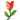 花開