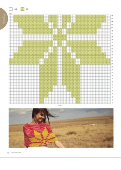 image host
