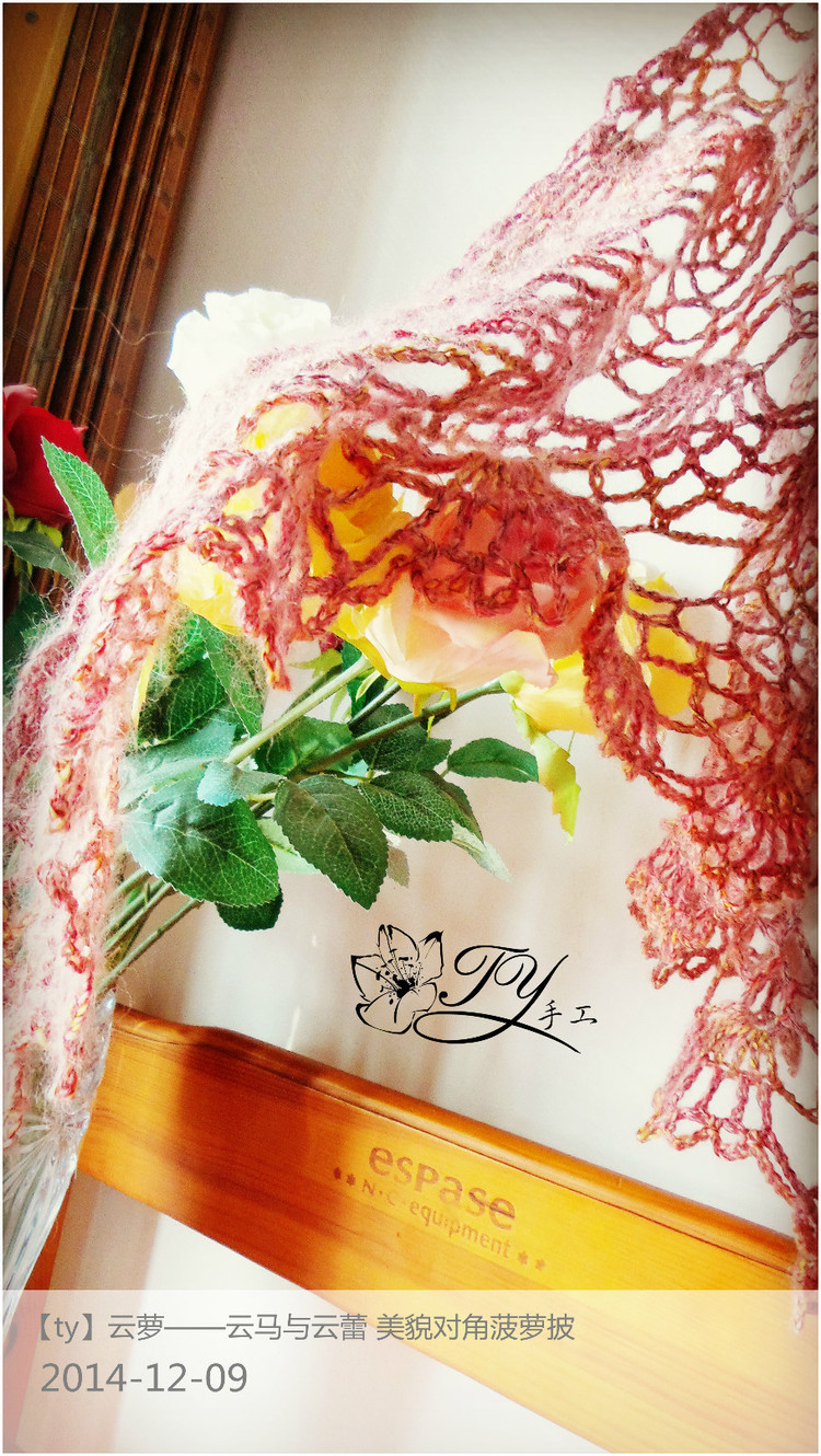 1459——云蘿——云馬與云蕾，美貌對角菠蘿披 - ty - ty 的 編織博客