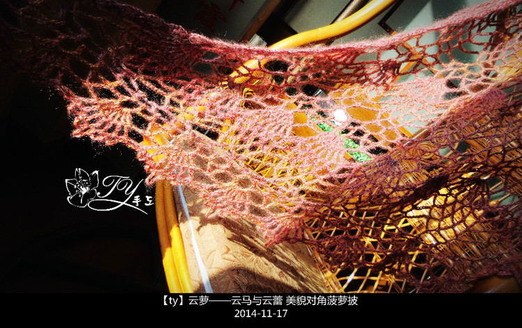 1459——云蘿——云馬與云蕾，美貌對角菠蘿披 - ty - ty 的 編織博客