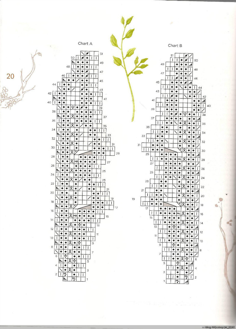 薔薇翻譯——SPRIG 曉枝 - 薔薇 - 薔薇花開