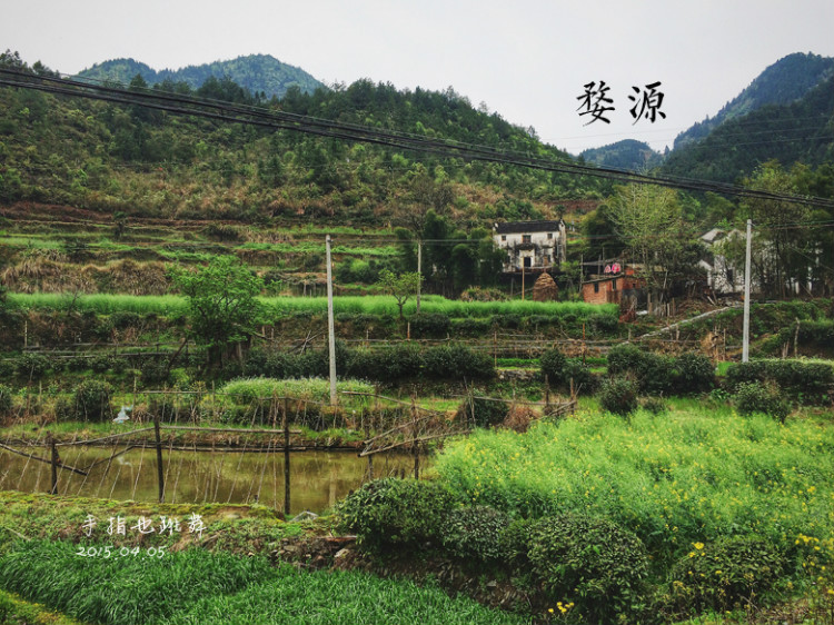 【走走聊聊拍拍】清明時節(jié)，最美鄉(xiāng)村 - 手指也跳舞 - 跳舞姐姐的手工莊園