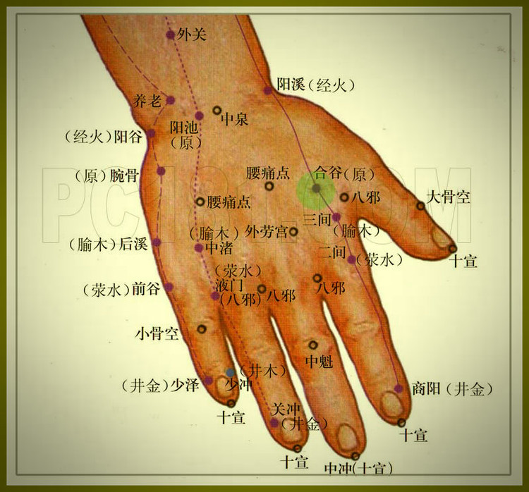 老祖宗留下的絕技：天星十二穴 - 隨遇er安 - 隨遇er安