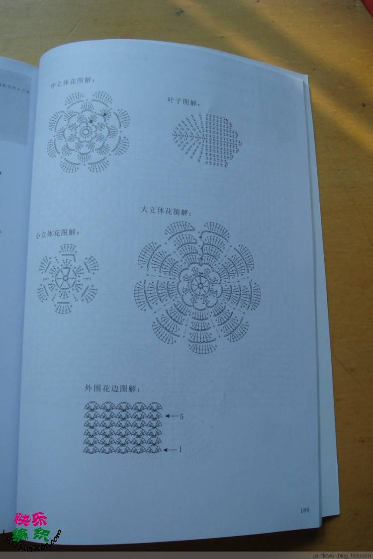 嬋娟 ——旋*圓  - 荷塘秀色 - 茶之韻
