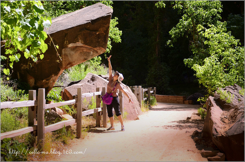 魚頭馬頭中美洲之行（21-2）-錫安國家公園維琴河隘口 - cello-ma - cello-ma的博客