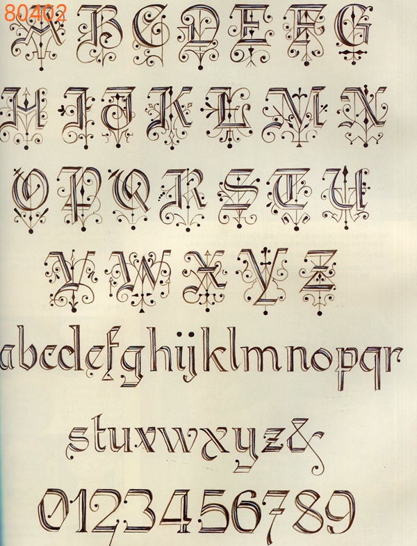77824-10.jpg