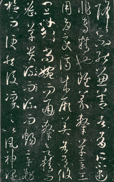 5560-5.jpg