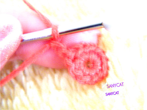 纏綿（不用引拔的一線連） - 陽(yáng)光下的貓 - sanycat的博客