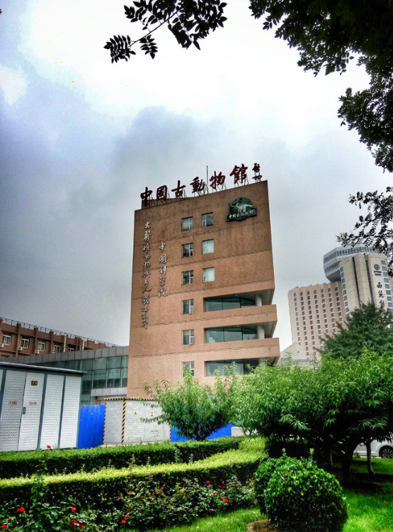 【走走聊聊拍拍】京城行游八天七夜DAY8——中國古動物館東交民巷、回家！ - 手指也跳舞 - 跳舞姐姐的手工莊園