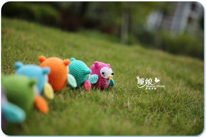 9217-5.jpg