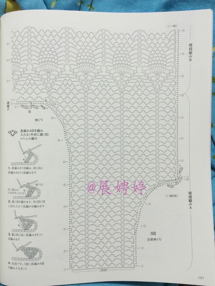 日亞新書：美針編奧林巴斯貴婦人50周年超人氣精選集 （美しいかぎ針編ベストセレクション 永遠のエミーグランデ） - 展娉婷 - 展娉婷的鉤針世界
