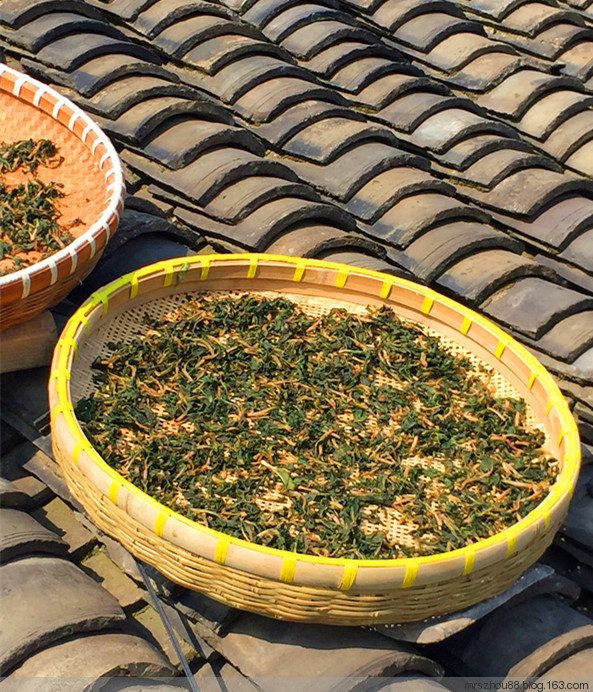 清明踏青游古鎮(zhèn)（手機(jī)拍攝） - 周太靚湯 - 周太靚湯
