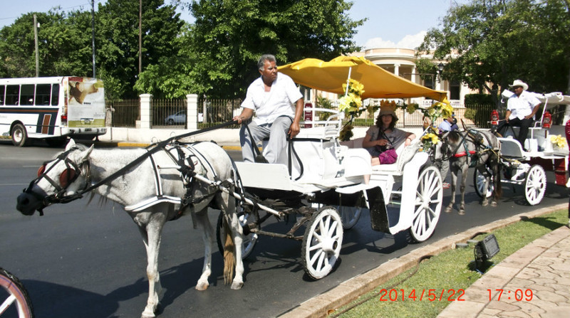 魚頭馬頭中美洲之行（8-6）-墨西哥梅里達馬車逛老城 - cello-ma - cello-ma的博客