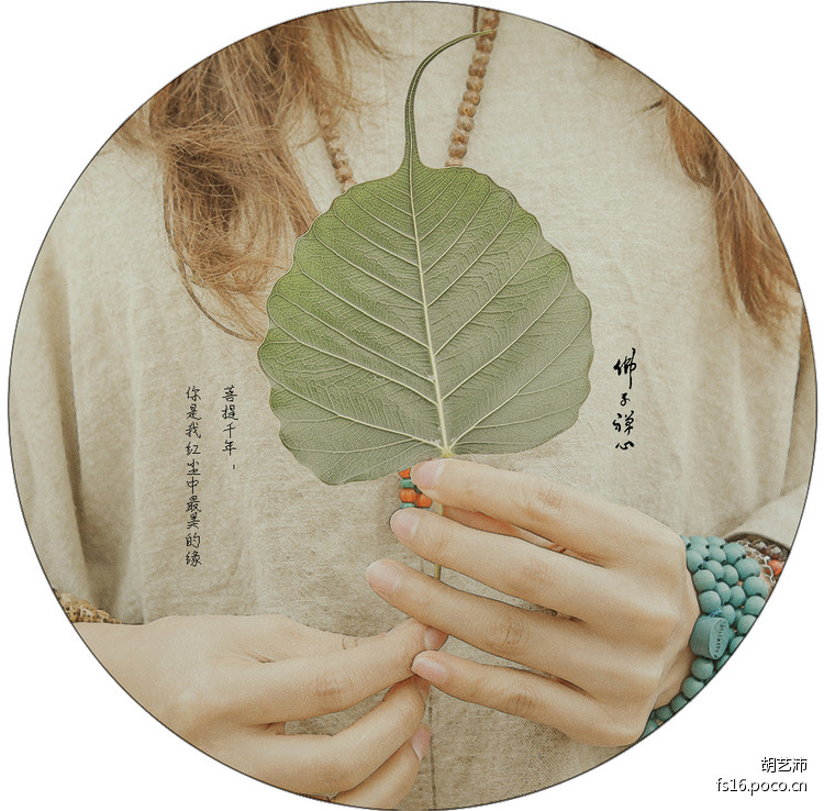 菩提千年，你是我紅塵中最美的緣【美圖共賞】 - 白石秋水 - 白石秋水