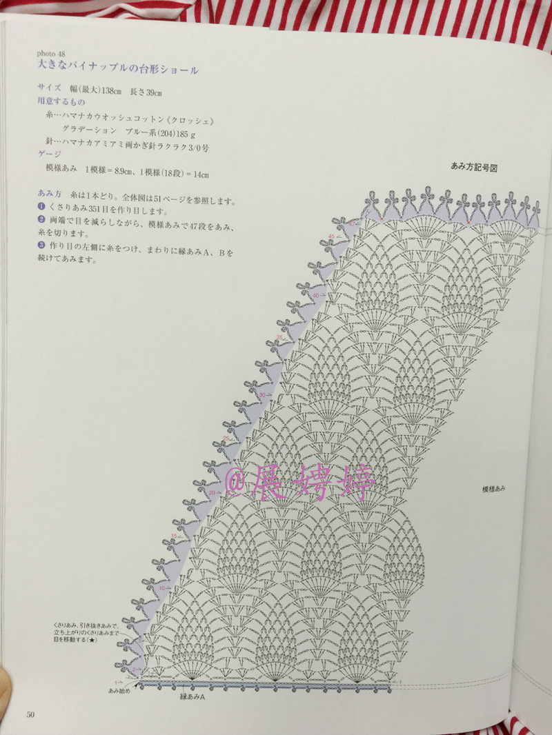【A-Lin林】紅妝--經(jīng)典菠蘿花披肩201520 - A-Lin林 - A-Lin的手工博客